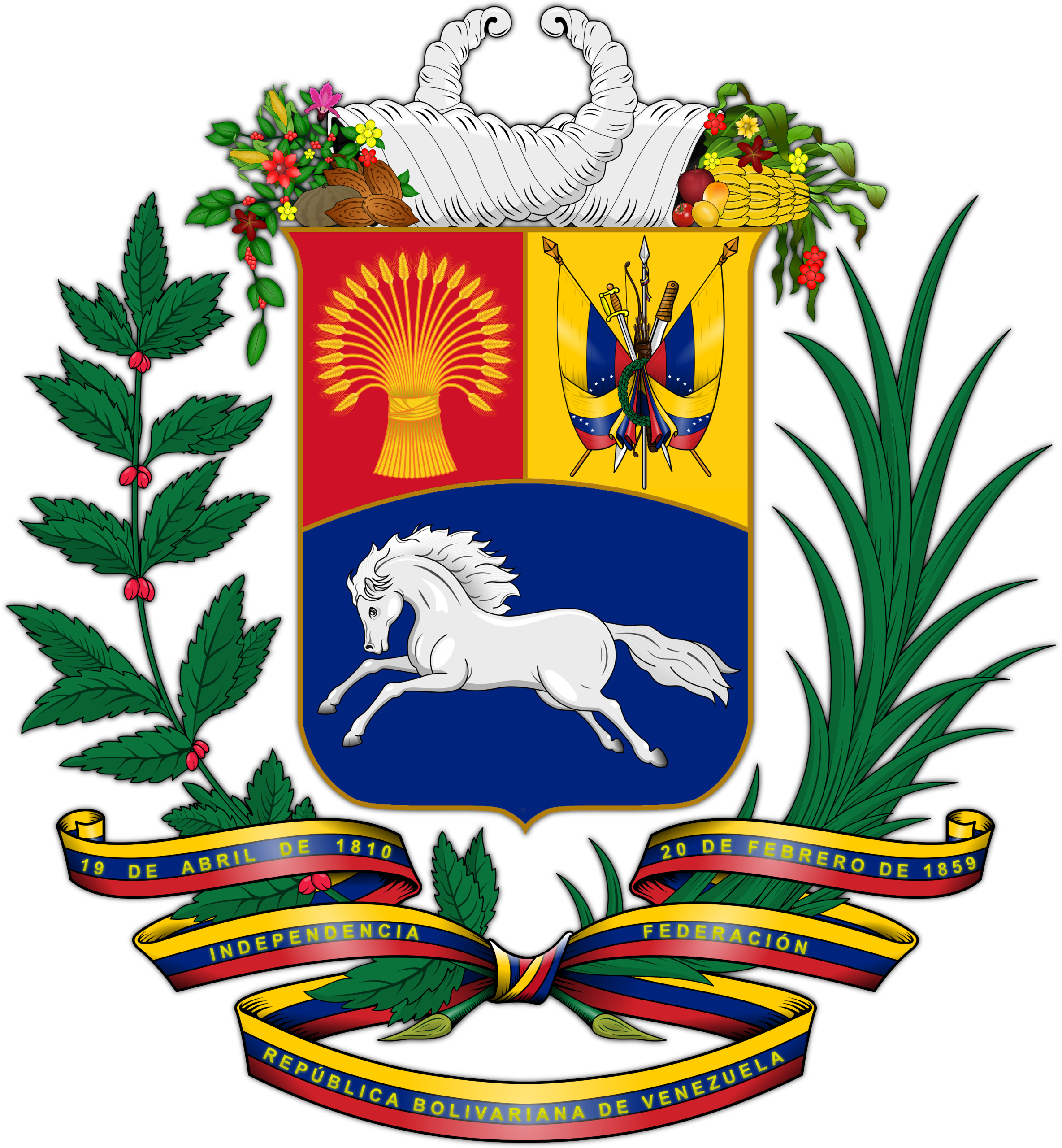 High Quality IPTV Service in Venezuela